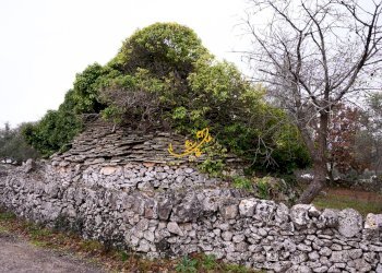 Foto 3 - Baita Contrada Montedoro, Noci - foto 3