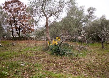 Foto 11 - Baita Contrada Montedoro, Noci - foto 11