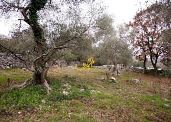 Foto 12 - Baita Contrada Montedoro, Noci - foto 12