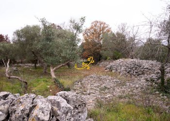Foto 15 - Baita Contrada Montedoro, Noci - foto 15