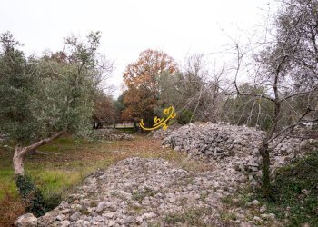 Foto 16 - Baita Contrada Montedoro, Noci - foto 16