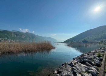 Vista - Negozio via Dottor Aldo Madruzza, 37, Paratico - foto 9