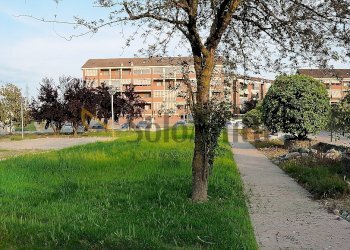 GIARDINO COMUNE - Bilocale Via Fornaci 45, Settimo Torinese - foto 20