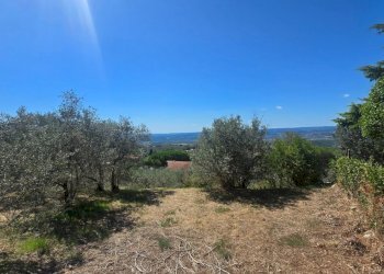 giardino (1).jpg - Villa Via Sasso Grosso 2, Montecchio - photo 23