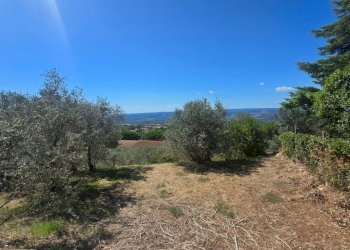 giardino (3).jpg - Villa Via Sasso Grosso 2, Montecchio - photo 30