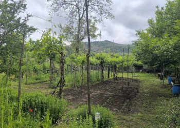Rustic via Biagio De Giovanni, Montoro - photo 21