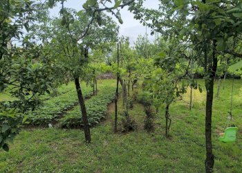 Rustic via Biagio De Giovanni, Montoro - photo 22