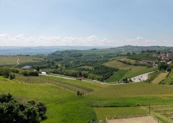 Terreno edificabile Priocca - foto 14