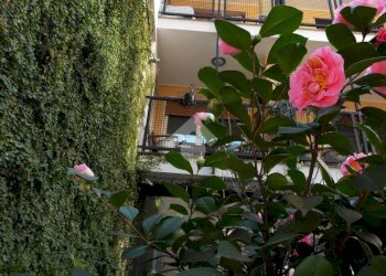 Bilocale Via Savona, Milano (zona Porta Genova) - foto 20