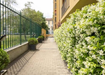 Trilocale Via Magistri, Milano - foto 37