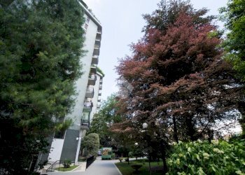 One-room apartment Corso Lodi, Milano - photo 30