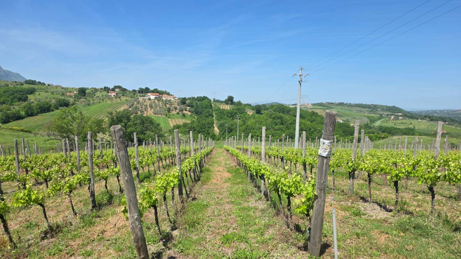 Foto 1 - Agricultural land Candriano, Torella dei Lombardi - photo 1