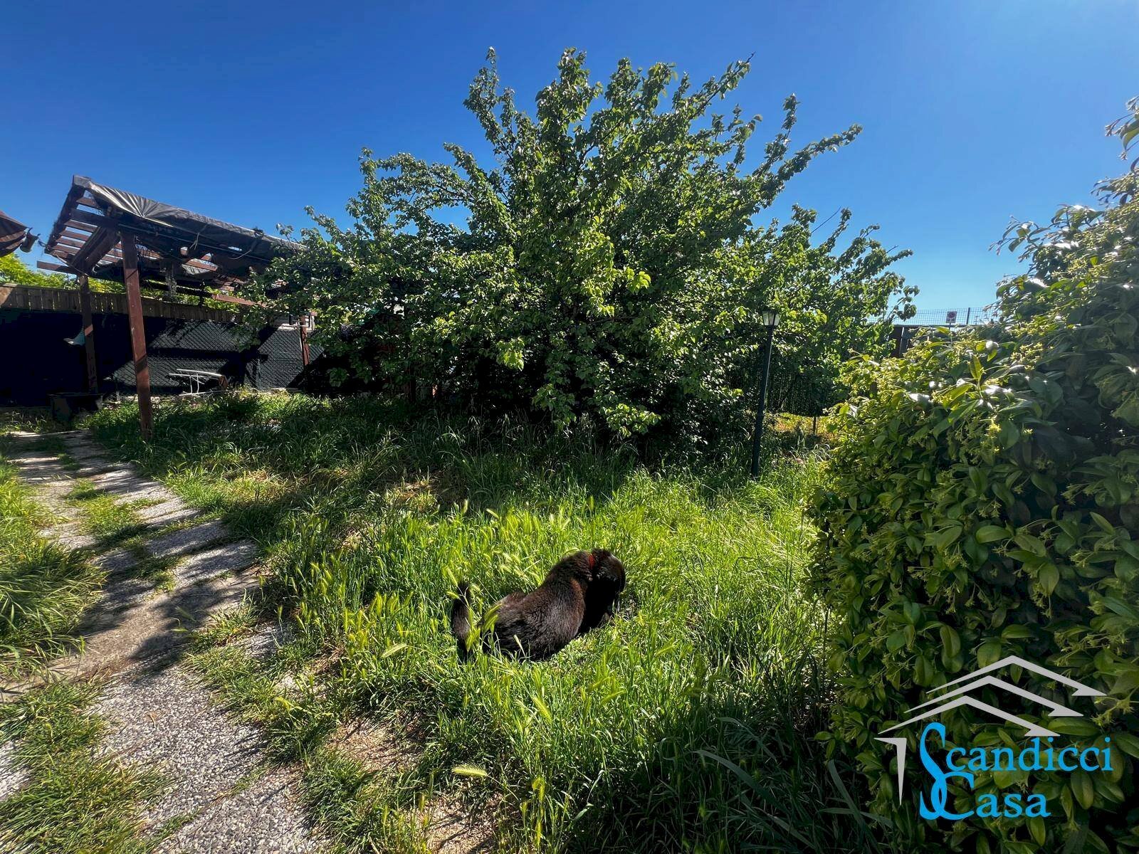 Foto 1 - Appartamento Viale Nenni, Firenze - foto 1