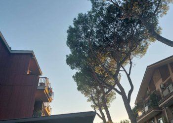Foto 5 - Trilocale Via Pupinia, Roma - foto 5