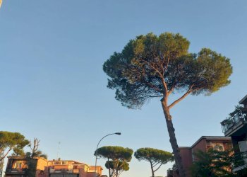 Foto 6 - Trilocale Via Pupinia, Roma - foto 6