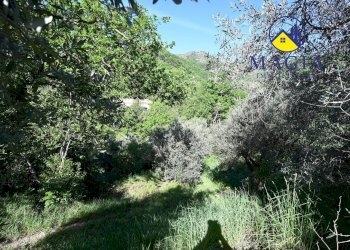 Foto 5 - Agricultural land 94, Ascoli Piceno - photo 5