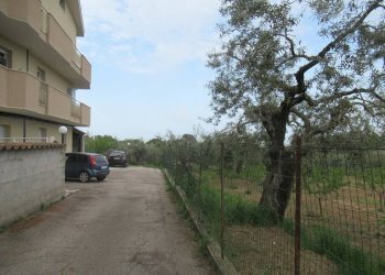 Foto 3 - Four-room apartment VIA DELLA RAI, Pescara - photo 3