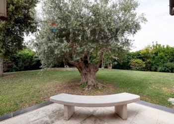 Giardino - Semi-detached house Via Madonna di Loreto
 
12, Valenzano - photo 34