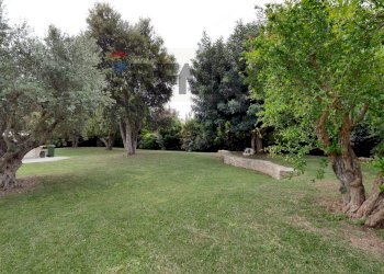 Giardino - Semi-detached house Via Madonna di Loreto
 
12, Valenzano - photo 37
