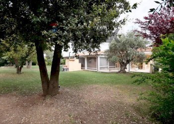 Giardino - Semi-detached house Via Madonna di Loreto
 
12, Valenzano - photo 38