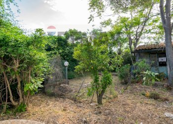 Giardino - Villa Via Cordovado
 
91, Acireale - foto 29