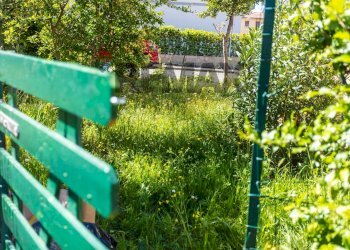 GIARDINO - Appartamento VIA Achille GRANDI
7, Montelupo Fiorentino - foto 30