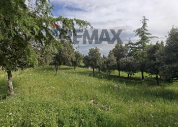 Giardino - Semi-detached house Contrada Stinco, Mattinata - photo 51