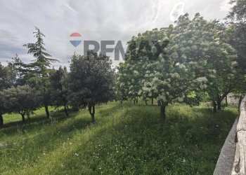 Giardino - Semi-detached house Contrada Stinco, Mattinata - photo 52