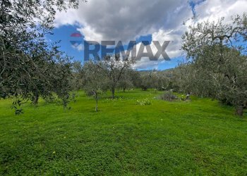 Giardino - Terreno agricolo Località Tor Di Lupo, Mattinata - foto 5