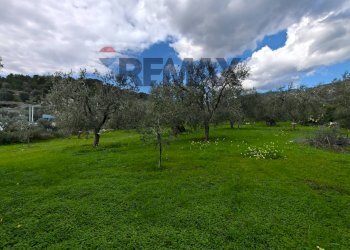 Giardino - Terreno agricolo Località Tor Di Lupo, Mattinata - foto 7