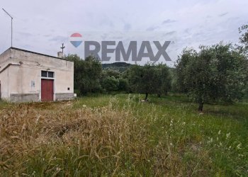 Casa all\'aperto - Terreno agricolo Località Tor Di Lupo, Mattinata - foto 13
