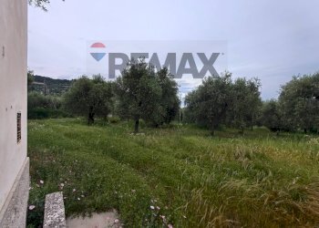 Giardino - Terreno agricolo Località Tor Di Lupo, Mattinata - foto 15