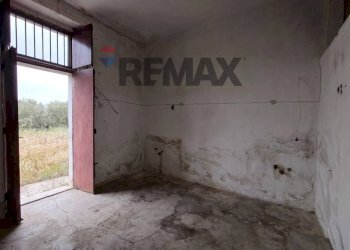 Stanza vuota - Terreno agricolo Località Tor Di Lupo, Mattinata - foto 24