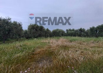 Vista delle montagne - Terreno agricolo Località Tor Di Lupo, Mattinata - foto 28