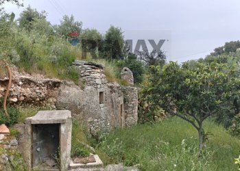 Giardino - Terreno agricolo Località Tor Di Lupo, Mattinata - foto 32