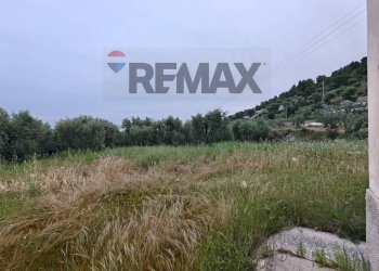 Vista delle montagne - Terreno agricolo Località Tor Di Lupo, Mattinata - foto 33