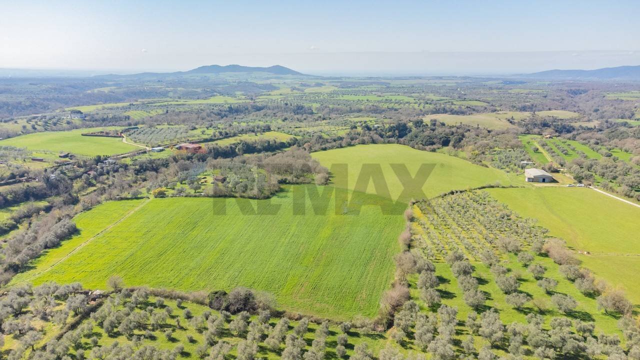 Vista delle montagne - Terreno agricolo Località Pantano
 
snc, Ischia di Castro - foto 1