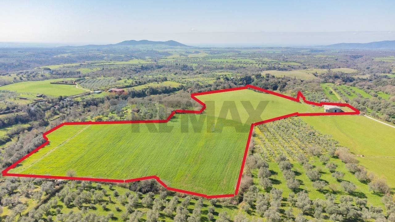 Posizione della mappa - Terreno agricolo Località Pantano
snc, Ischia di Castro - foto 2