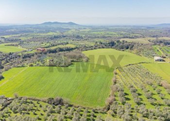 Vista delle montagne - Agricultural land Località Pantano
 
snc, Ischia di Castro - photo 1