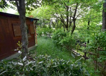 Giardino - Casa semi indipendente Strada Castello di Casola
 
23, Terenzo - foto 41