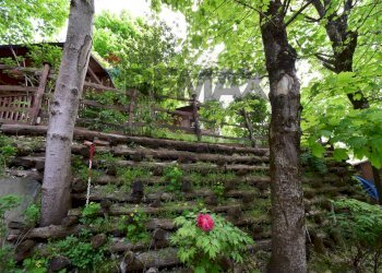 Giardino - Casa semi indipendente Strada Castello di Casola
 
23, Terenzo - foto 47