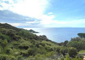 Foto 1 - Building land Marciana - photo 1