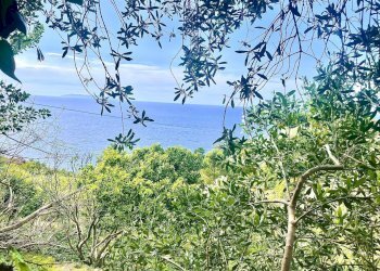 Foto 2 - Building land Marciana - photo 2