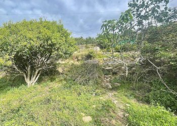 Foto 4 - Building land Marciana - photo 4