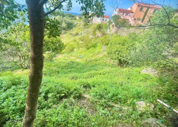 Foto 6 - Building land Marciana - photo 6