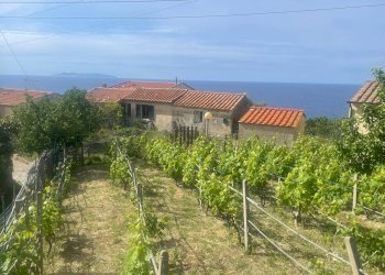 Foto 12 - Building land Marciana - photo 12
