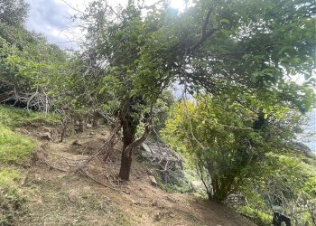 Foto 14 - Building land Marciana - photo 14
