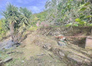 Foto 16 - Building land Marciana - photo 16