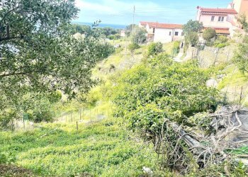Foto 21 - Building land Marciana - photo 21
