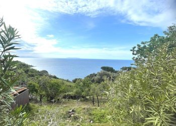 Foto 31 - Building land Marciana - photo 31